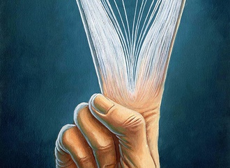 jalal pirmarzabad iran 33