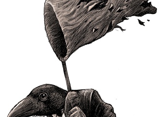 Gallery of Cartoons by Dario Castillejos From Mexico