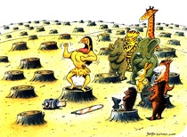 Gallery of the Best World Cartoon-Part 2005