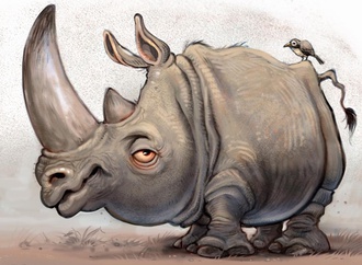 
                                                                                                  Steve Sack - United States of America