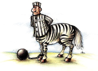 liviu stanila romania 29