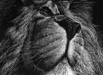 Gallery of Caricatures by Ricardo Martinez From  Chile