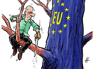 maarten wolterink5