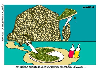 Forest eating
