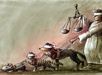 mihai iganat romania27
