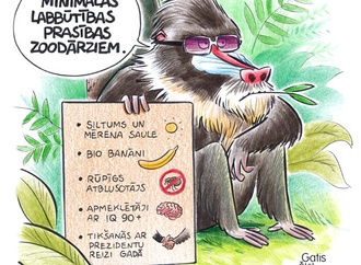 gatis salu_ka 44