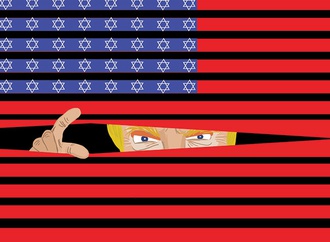 cartoon section237