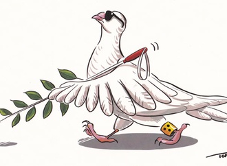 peace bird