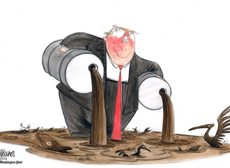 Gallery of Cartoons by Ann Telnaes From Sweden