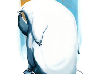 farhad bahrami reykani iran 66