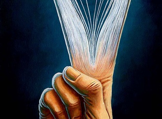 jalal pirmarzabad iran 33