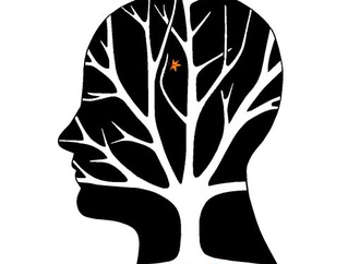 
                                                                                                  Pete Kreiner - Australia