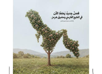 sajad hassan iraq2