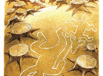 jitet_kustana_ _indonesia_44