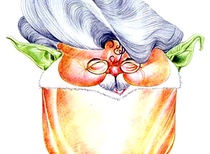 Gallery of Caricatures by Shankar Pamarthy From India