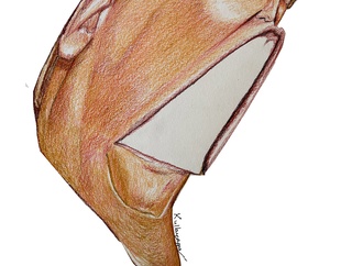 chinna kullayappa india