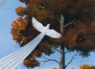 rafal olbinski poland00004