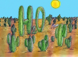 lubomir kotrha slovakia 113