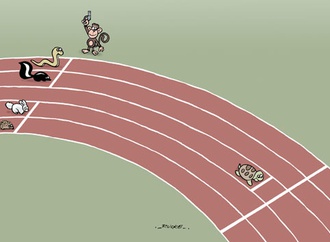 raimundo rucke santos souza brazil 15