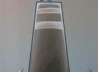 liu qiang china24