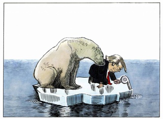 de adder