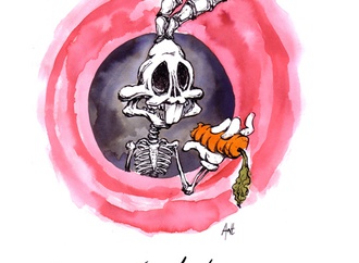 Gallery of Cartoons by Anthony Garner From Uk
