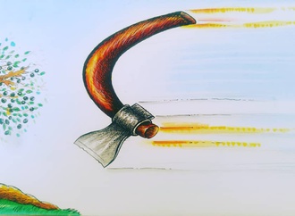kamil yavuz turkey