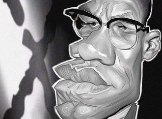 malcolm x by gege