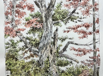 john cuneo usa00042