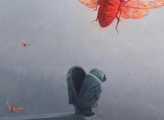 shaun tan5