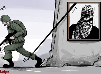 mohammad sabaaneh19