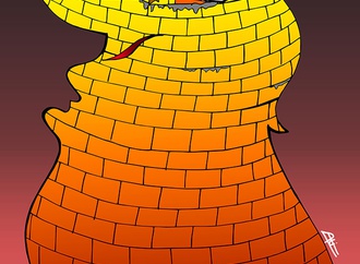 cartoon section54