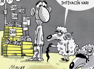 muammer olcay 5