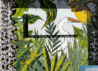 edo grosso brazil 8