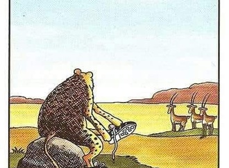 larson