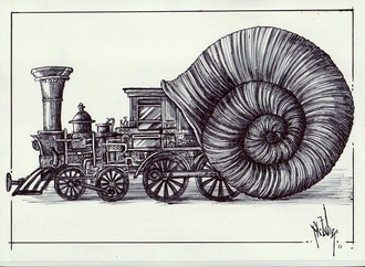 mehmet zeber 14