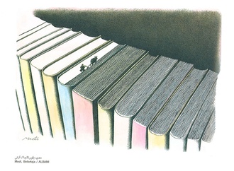 medi belortaja albani