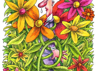 Gallery of Cartoon by Lido Contemori-Italy