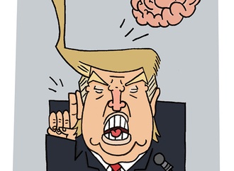 cartoon section518