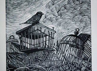 dario castillejos12