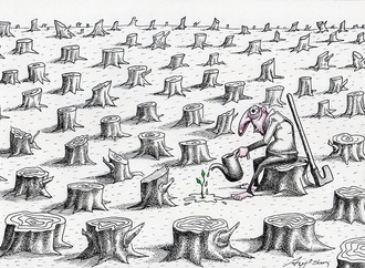 Deforestation