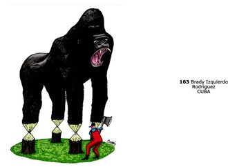 animal contest45