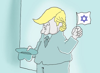 cartoon section430