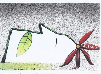 earthquake albania 10