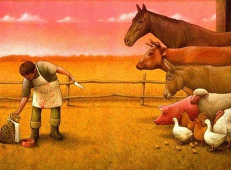 pawel kuczynski poland 105