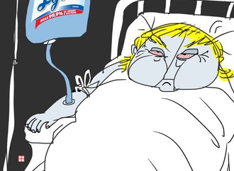 It works", said the Stable Genius