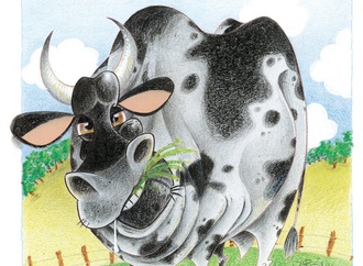 biry sarkis brazil 87