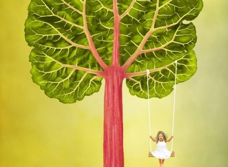 Gallery:6th International Rhubarb Cartoons Contest, Romania 2024