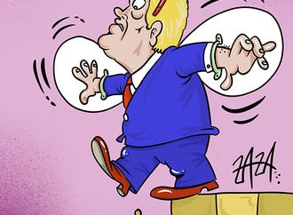 cartoon section324