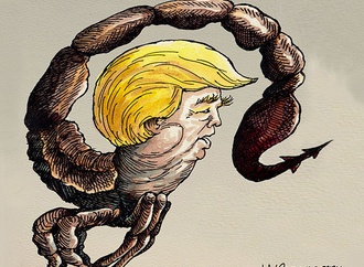 cartoon section616